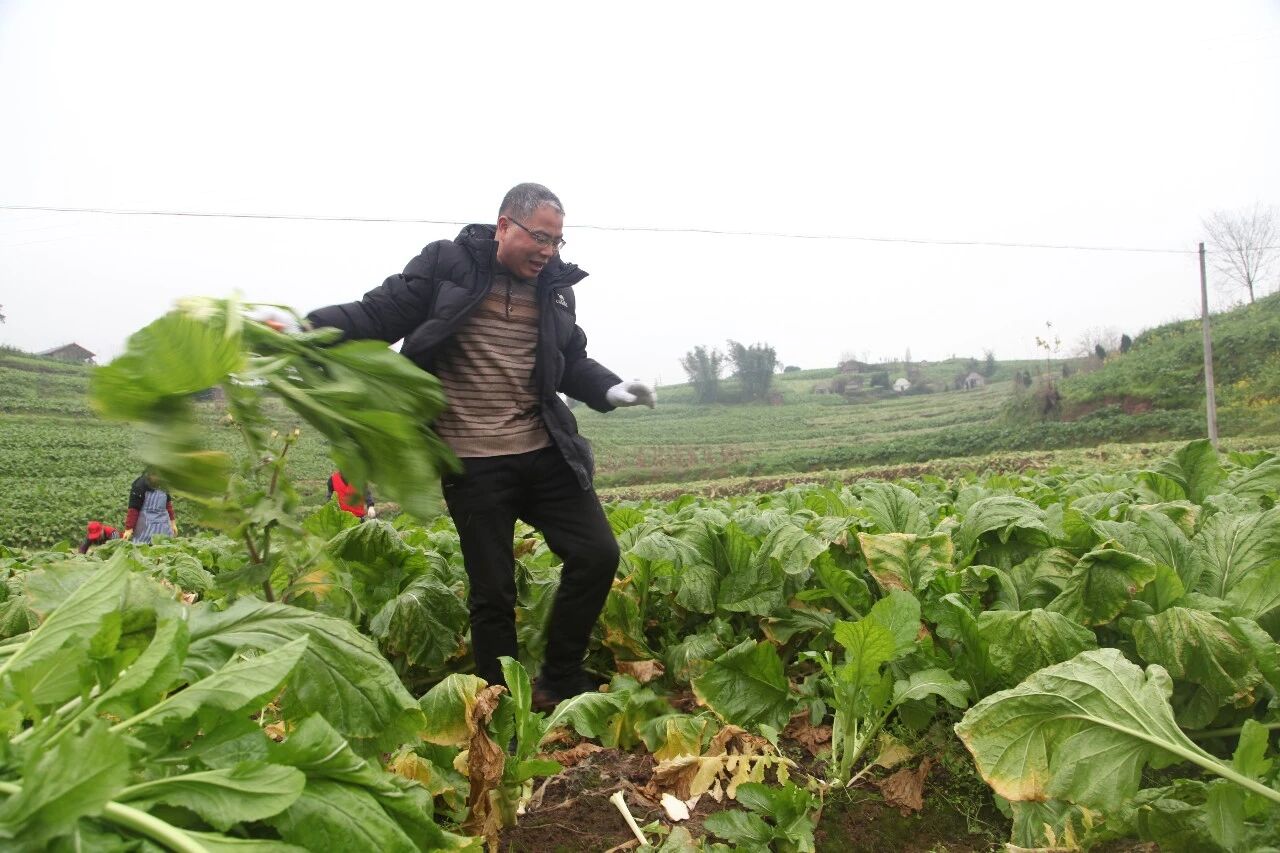 �ƶ�����3118(�й�)�ٷ���վ